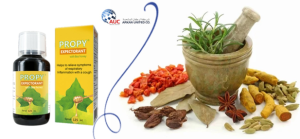 The Best Herbal Expectorants and Bronchodilators